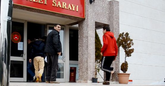 Kocaali’de Bonzai Darbesi — haber görseli