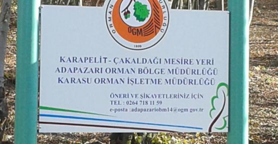 Kocaali’nin ilk Mesire Alanı — haber görseli