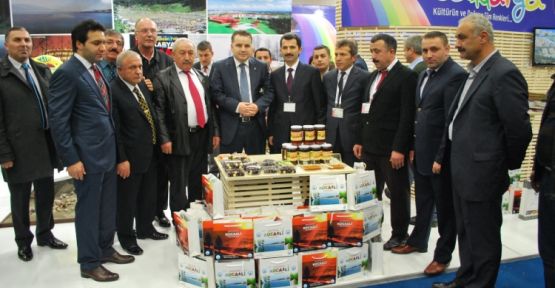 Kocaali’ye Büyük ilgi — haber görseli