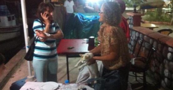 Tatilci Bayanlardan İnsanlık Dersi — haber görseli